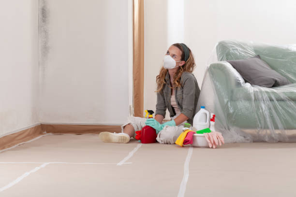 Reliable Commercial Mold Remediation contractor in Oak Ridge, NC by WQB Mold Removal